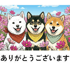 sumityan_20260426103048-NO3