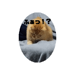 kiva_2026