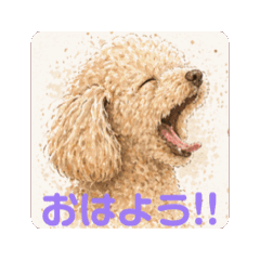 MomoRoy_20260426220046