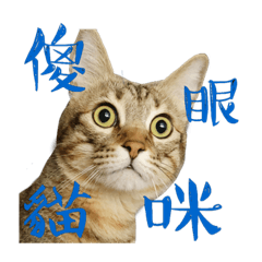 肉鬆Rich來賣萌