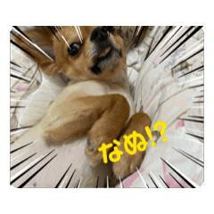 KOBO_20260427073228