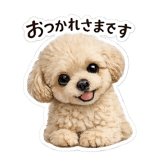 yururin_20260426084350