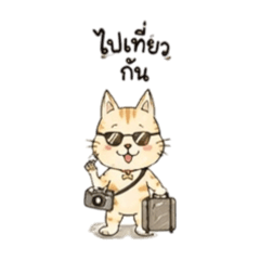 Little cat's name