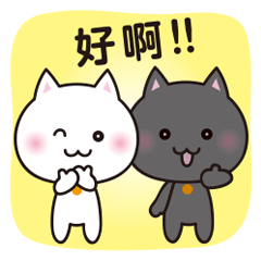 Twin cats [Chinese]