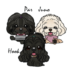 CookHouse_20260426090107