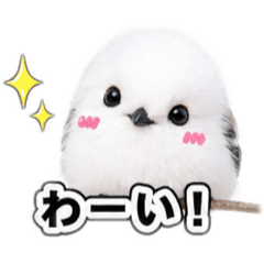 CHEESE_20260426084826