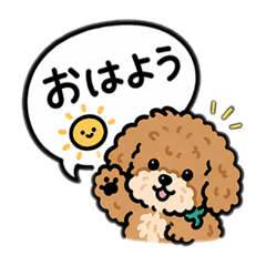 popola_20260421102748