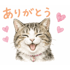 shinoshino_20260424131408