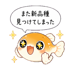 The Variety Obsession of Medaka