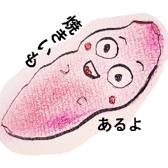 sakura_20260424131434