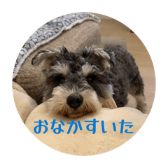 MISAKO_20260424130340