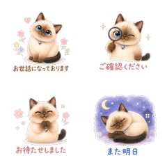 Chubby Siamese Cat  Polite Phrases