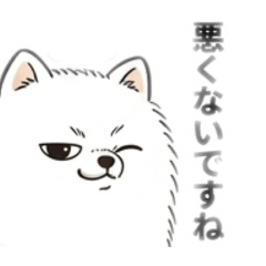 gutihasi_20260424140300