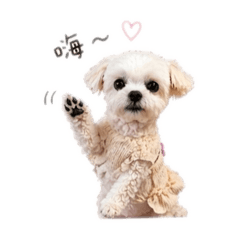 內寶寶の生活日常篇