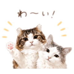 mishishippi_20260426090518