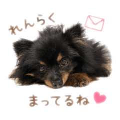 natsuki_20260426090823