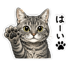 Cornet_20260426090505