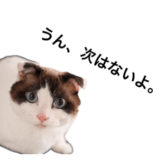 atatyan_20260426091023