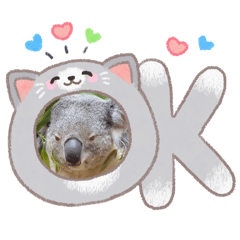 maron_20260426091909