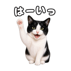 Donald_20260426091538