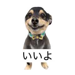 CYOKO_20260426115025