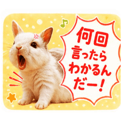 warami_20260426121212