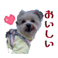 tototo_20260426153913