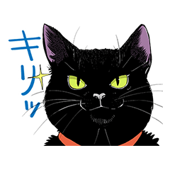 家に黒猫がいます　ねこぱんち×思い出食堂