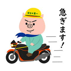 Safety First! Pig Rider