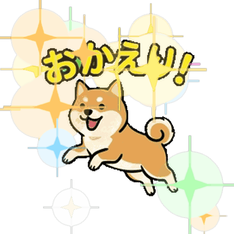 柴犬的全方位迎接！