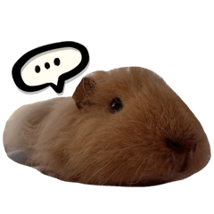 小麻糬跳跳糖勞贖