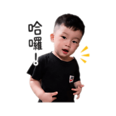 岳哥的表情包