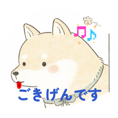 Shiba_20260426102027