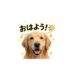 chanchi_20260426103313