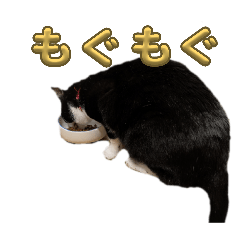 wataru_20260426102743
