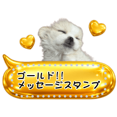 Lala Message