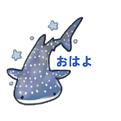 kaori_20260426163852