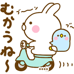 うさぺん33カスタムだよ