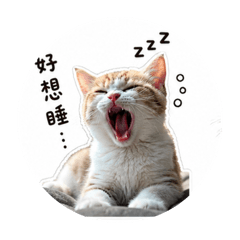 奶茶奶貓