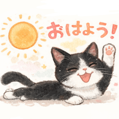 Black and White Cats Everyday