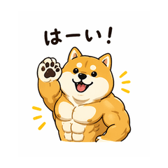 Buff Shiba Inu