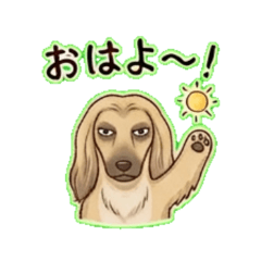 Mr Affie - Daily Chat Stickers