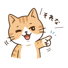 Adorable Kitty Life