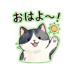 Hachiware Cat's Cozy Daily Life