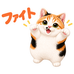 Sowa, the chubby calico cat 2