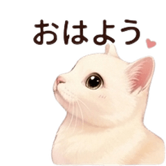 Nana the White Cat Daily Life2