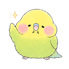 Moffuri Parakeet Polite Feelings (Y&YG)