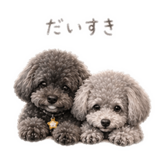 vernis_20260424164336