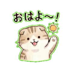 Scottish Fold Cat's Sunny Greetings