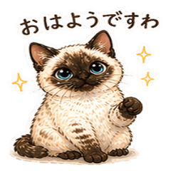 Alice the Cat Daily Life